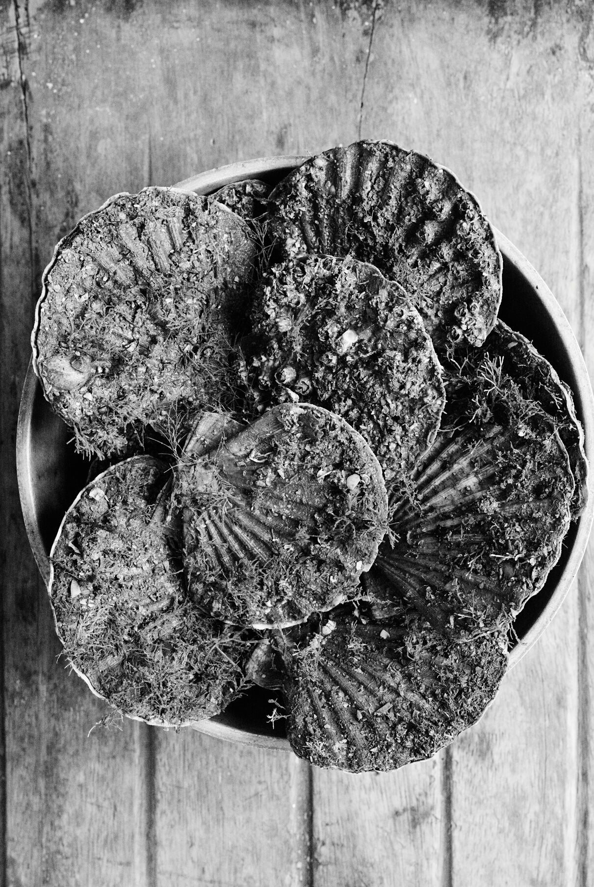 On scallops in garlic and parsley butter...