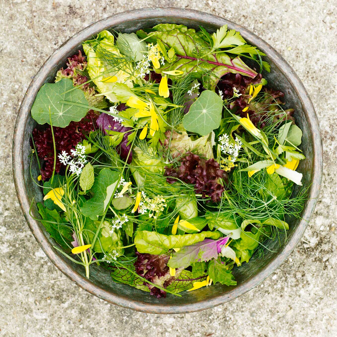 Lettuce salad with herbs & flowers