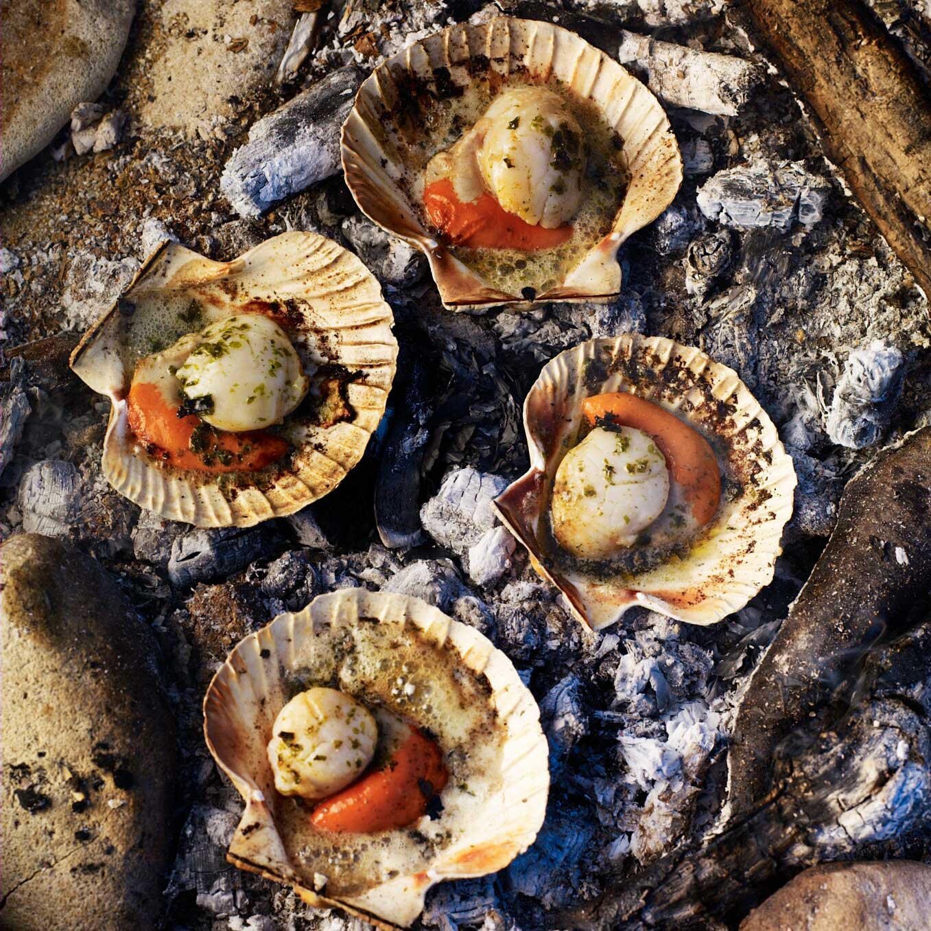 Scallops cooked in fire embers with seaweed butter
