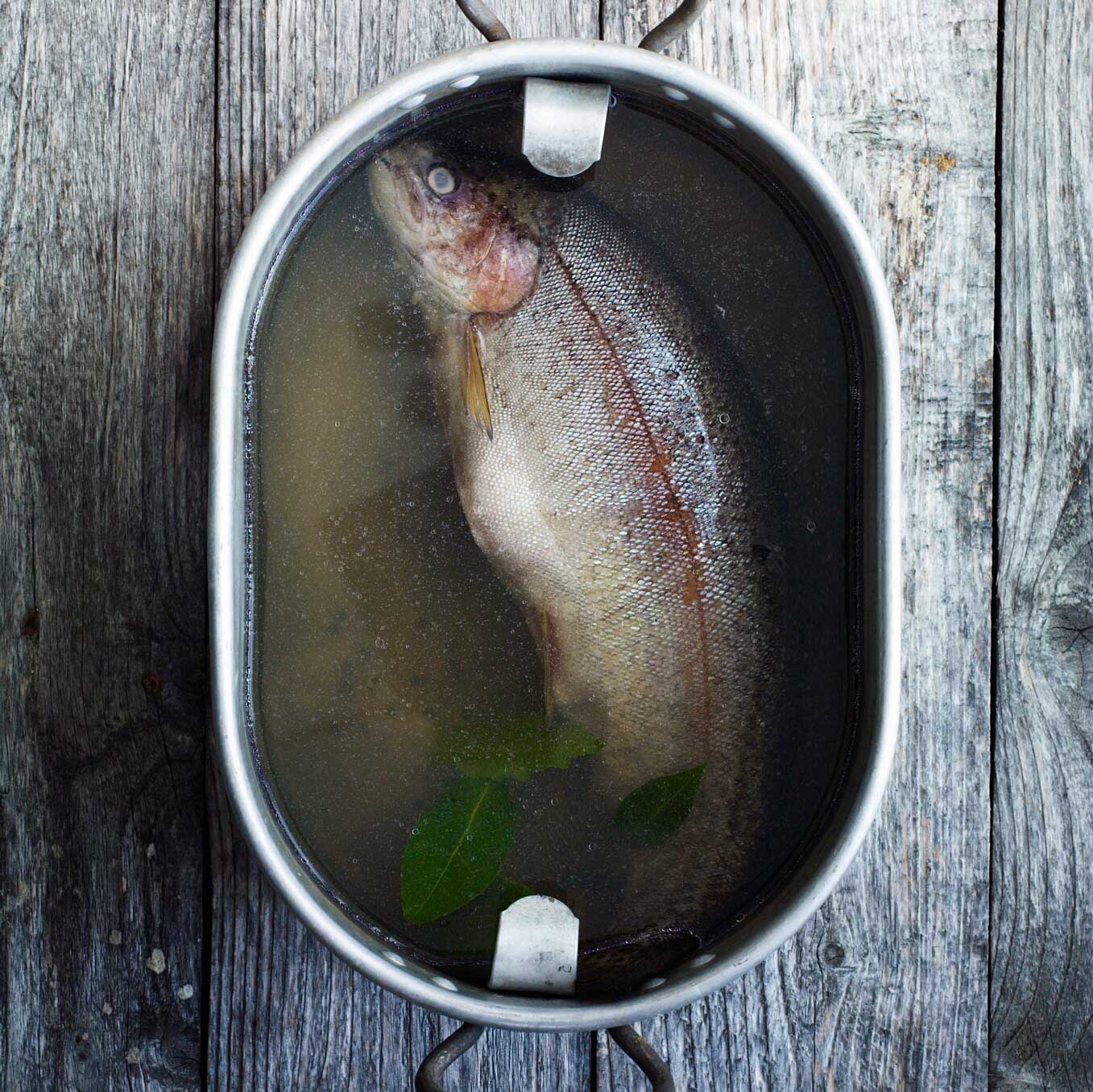 Poached trout