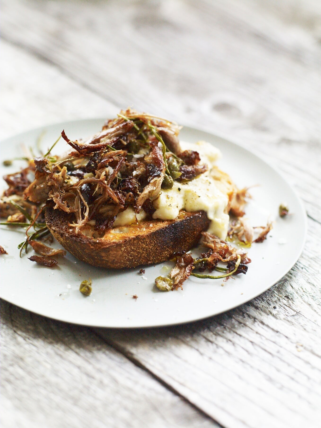 Squirrel is delicious !