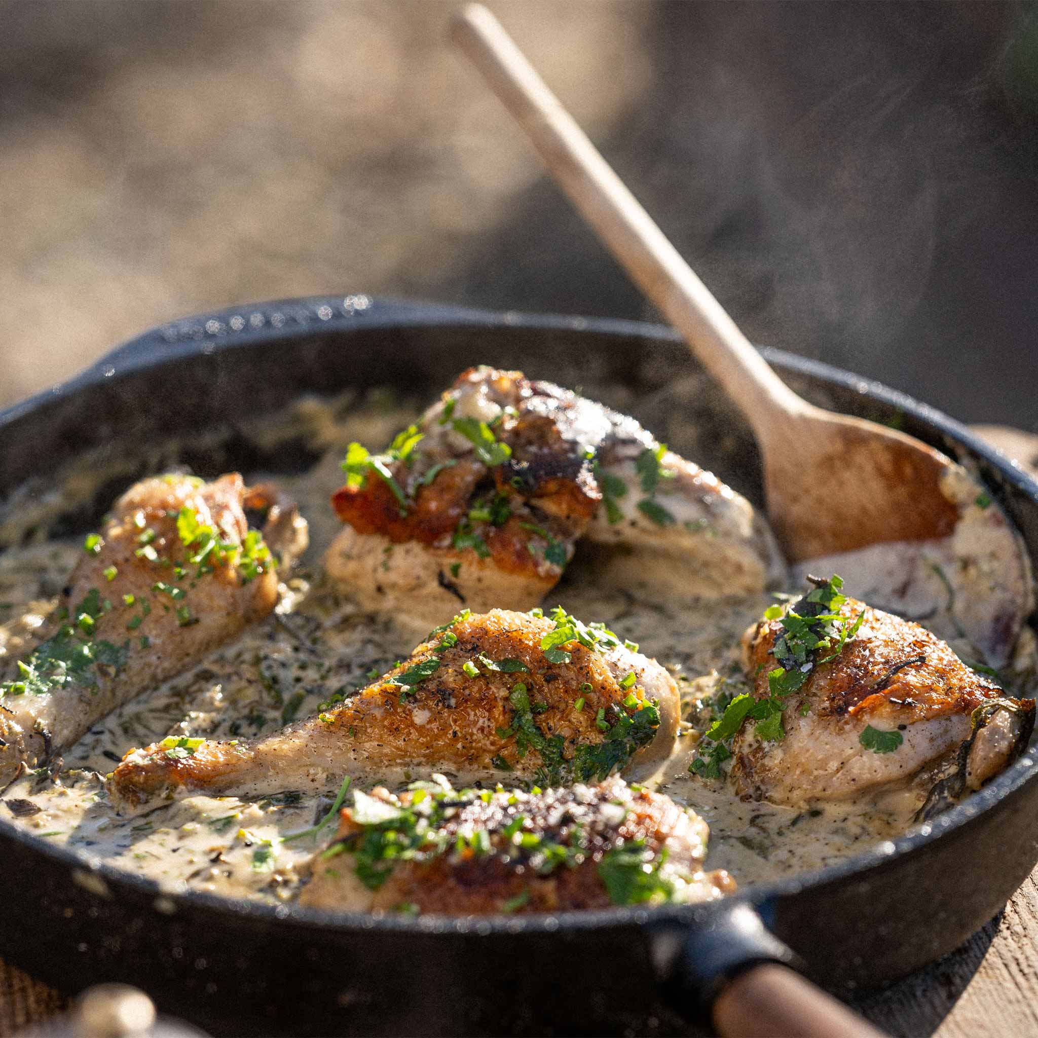 Chicken with leeks, cream, lemon and dill