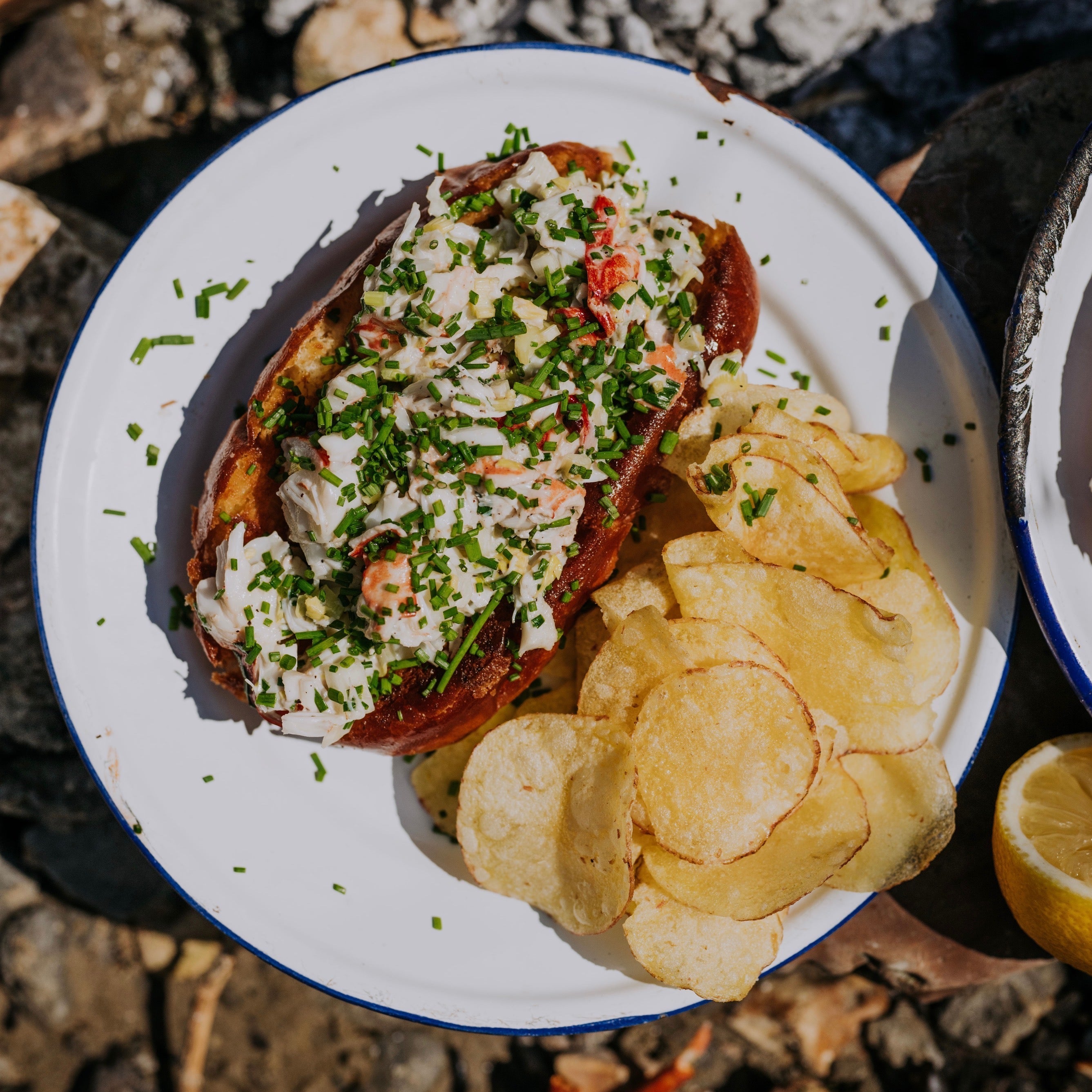 Dorset Lobster Rolls