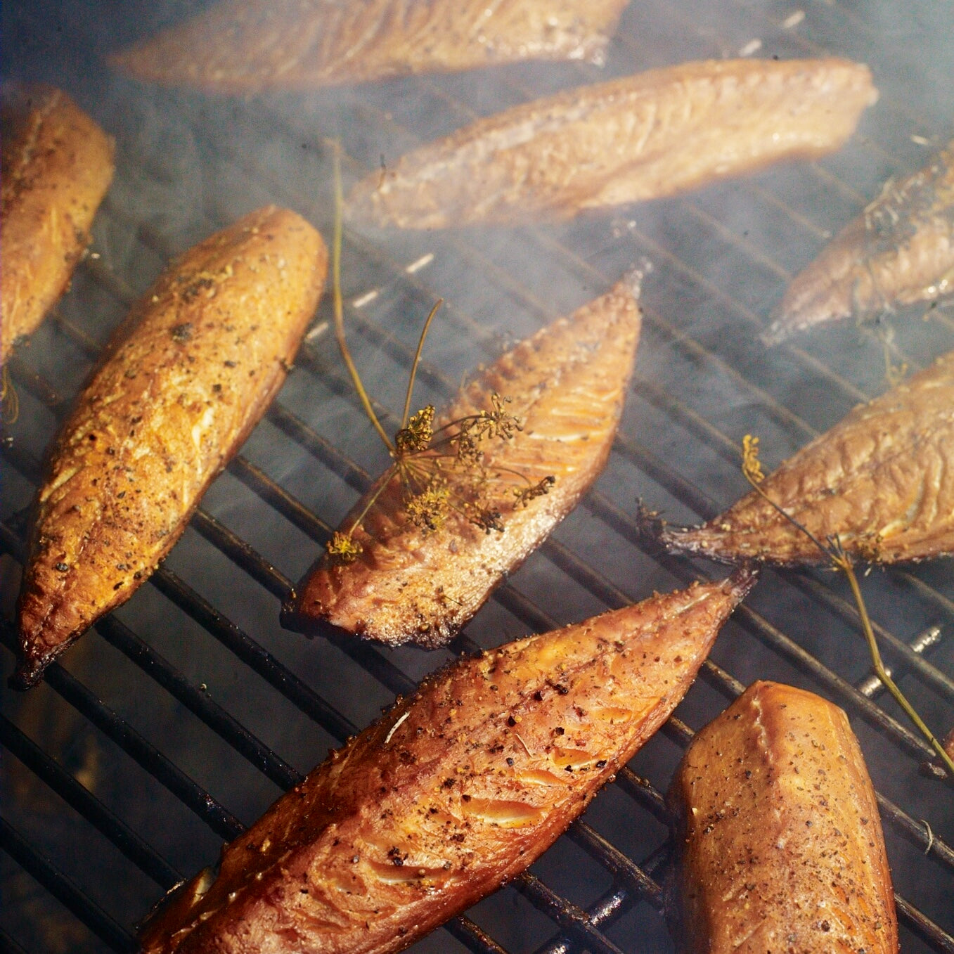 Hot-smoked mackerel