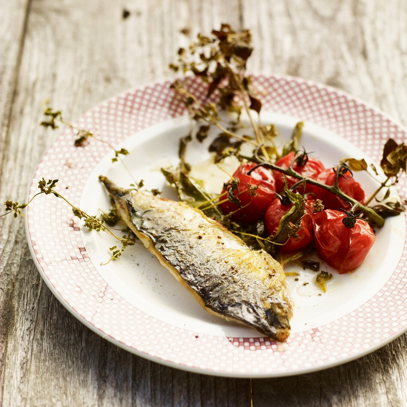 Fried mackerel with tomatoes, garlic & herbs