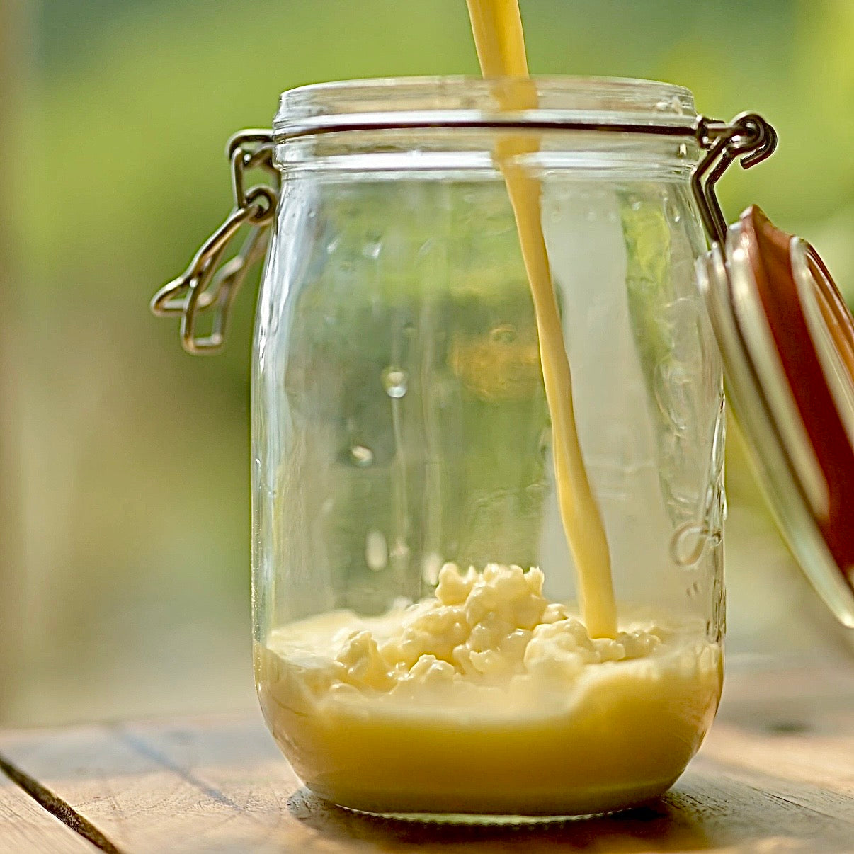 Homemade milk kefir