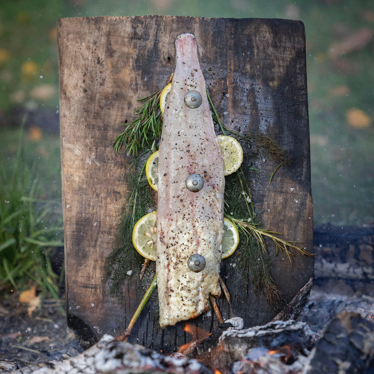 ‘Planked’ fish – Gill Meller