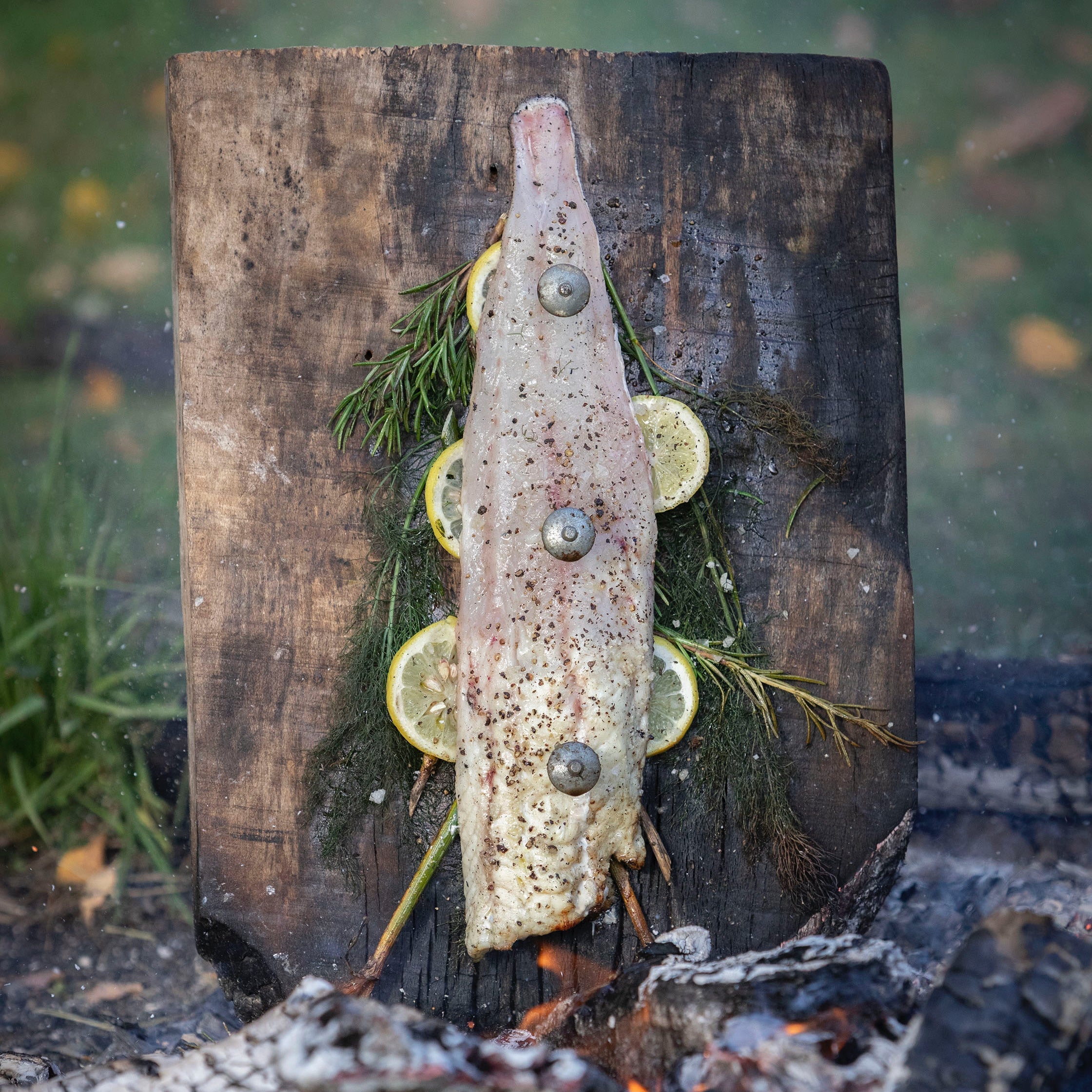 ‘Planked’ fish