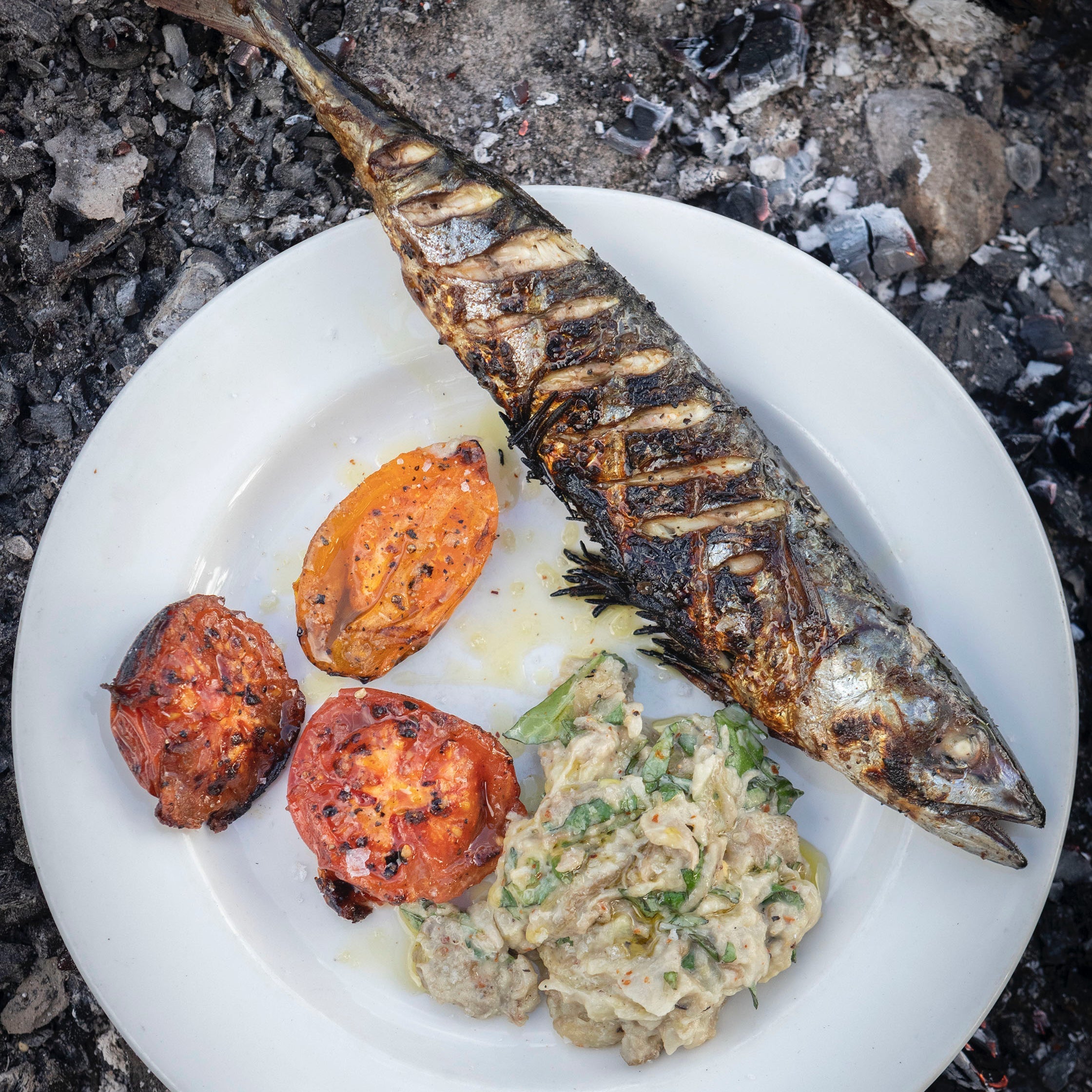 Fire-roast mackerel with tomatoes and aubergine purée