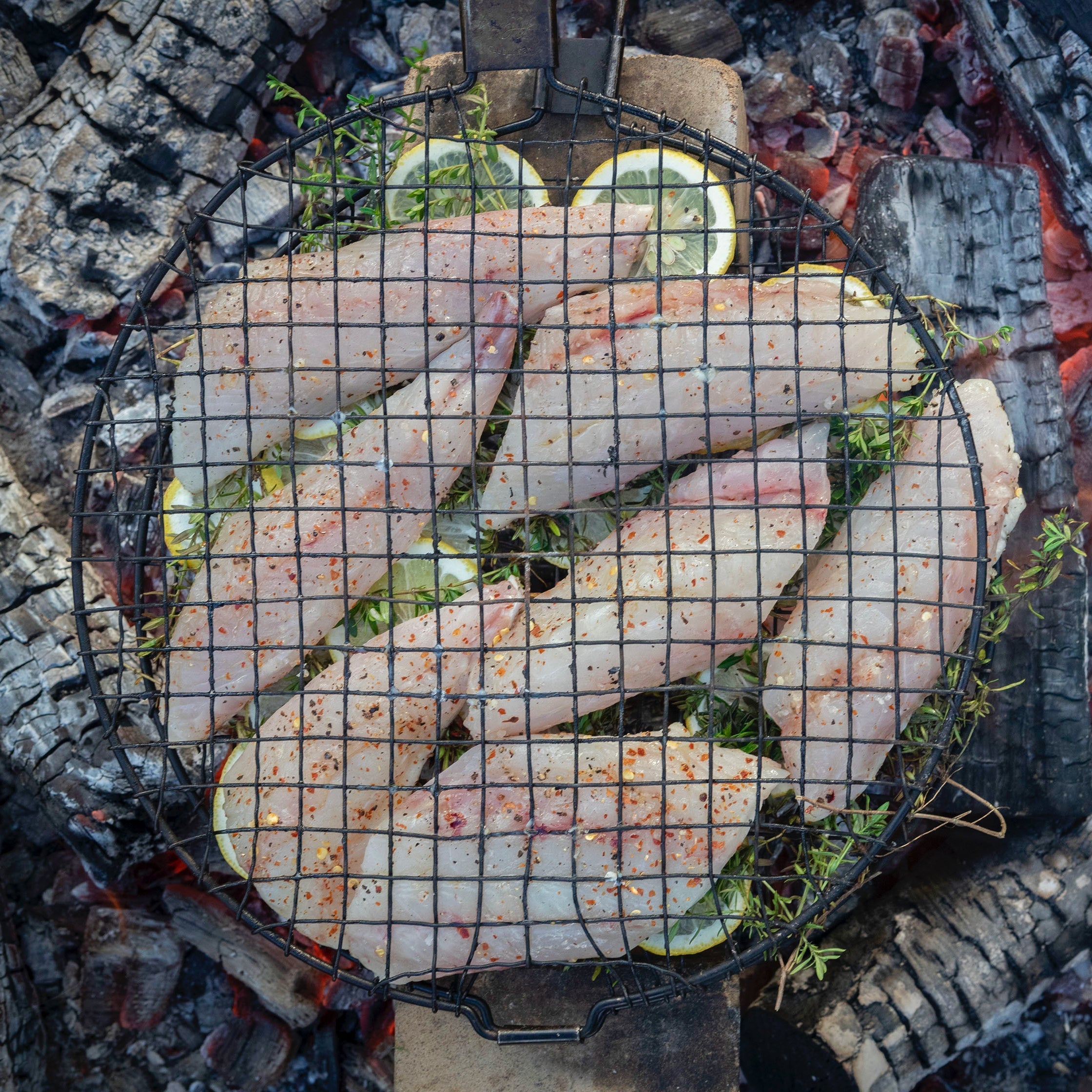 Campfire roast fish fillets with burnt lemon and thyme