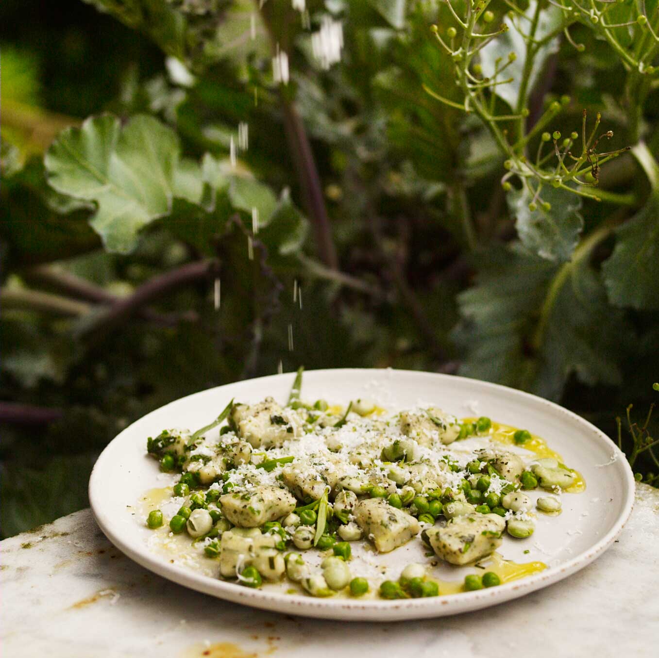 Broad beans and peas with new potato and parsley gnocchi, chives and tarragon