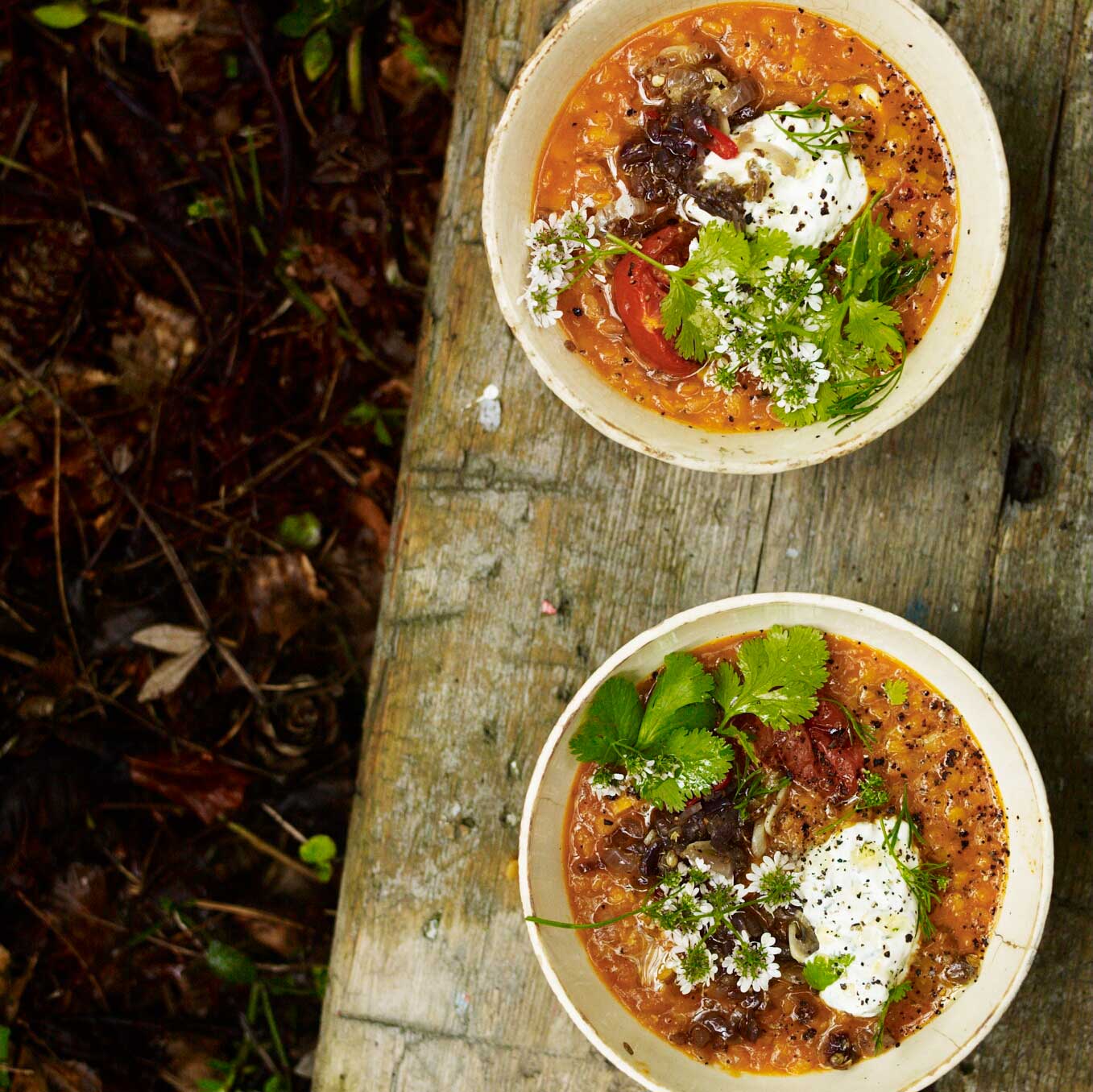 Roast tomato and lentil soup
