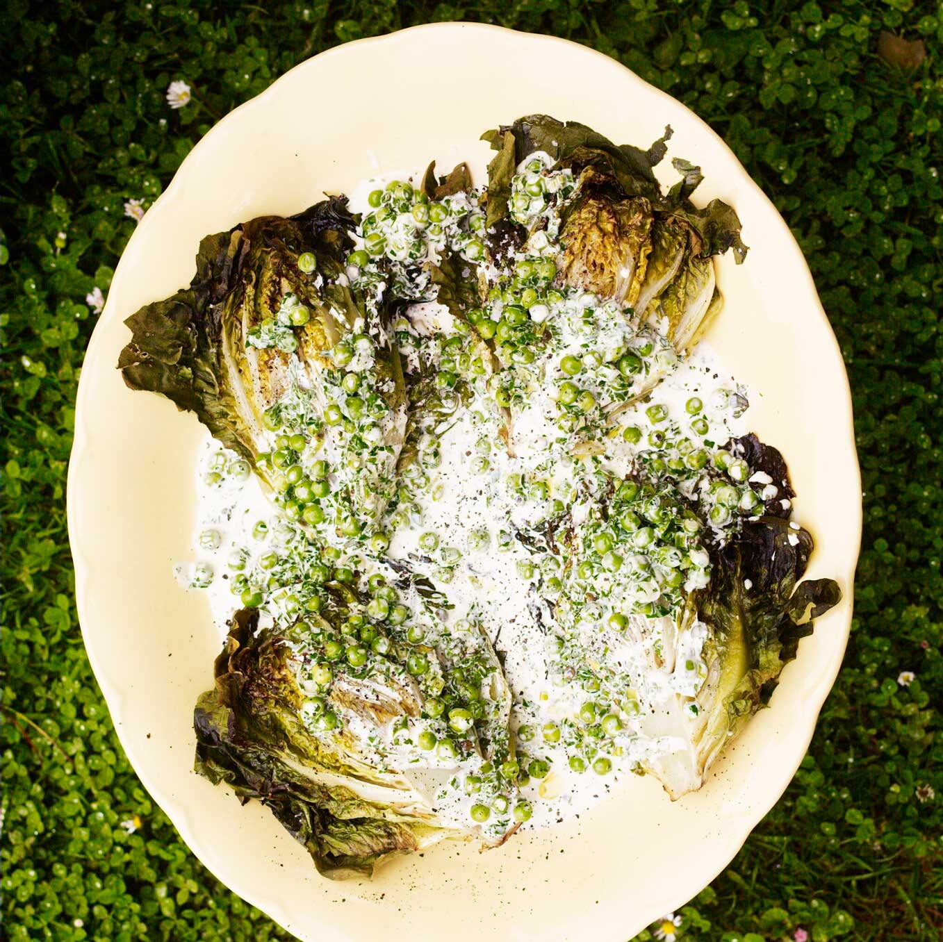 Roast little gems with peas, peppercorns, parsley and cream