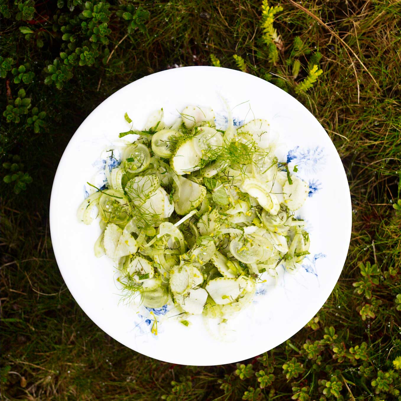 Green strawberry, fennel and gooseberry salad with tarragon and mint