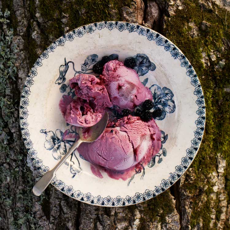 Blackberry and apple ice cream