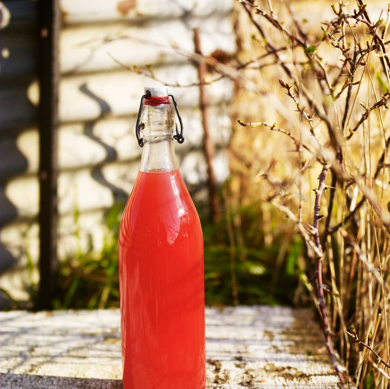 Rhubarb, orange, anise and honey cordial