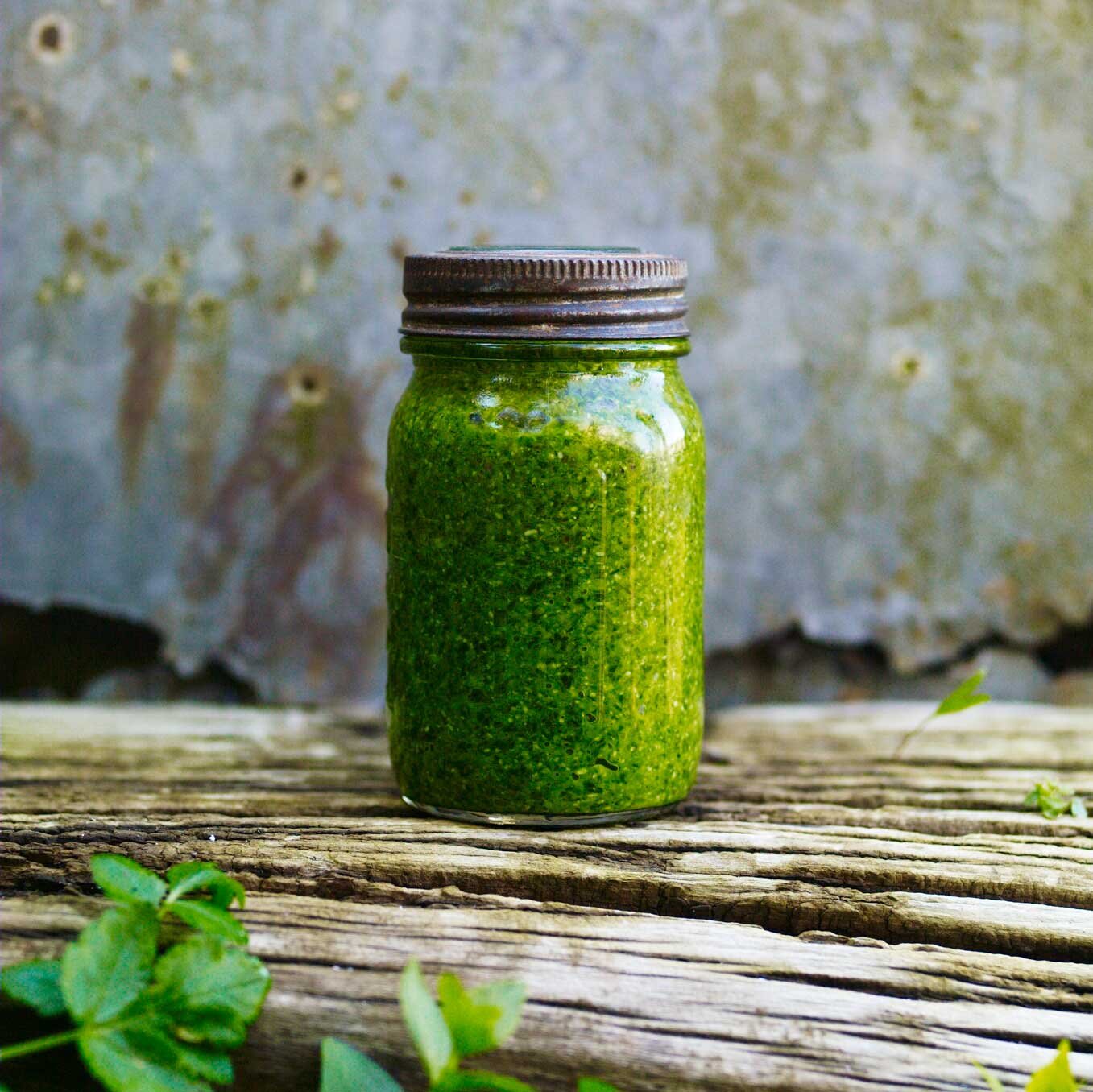 Wild garlic pesto