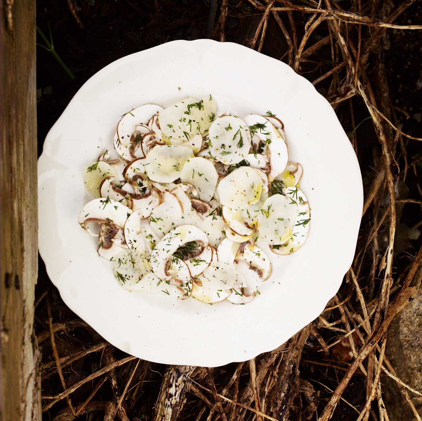 Jerusalem artichoke and chestnut mushroom salad with dill, lemon and olive oil