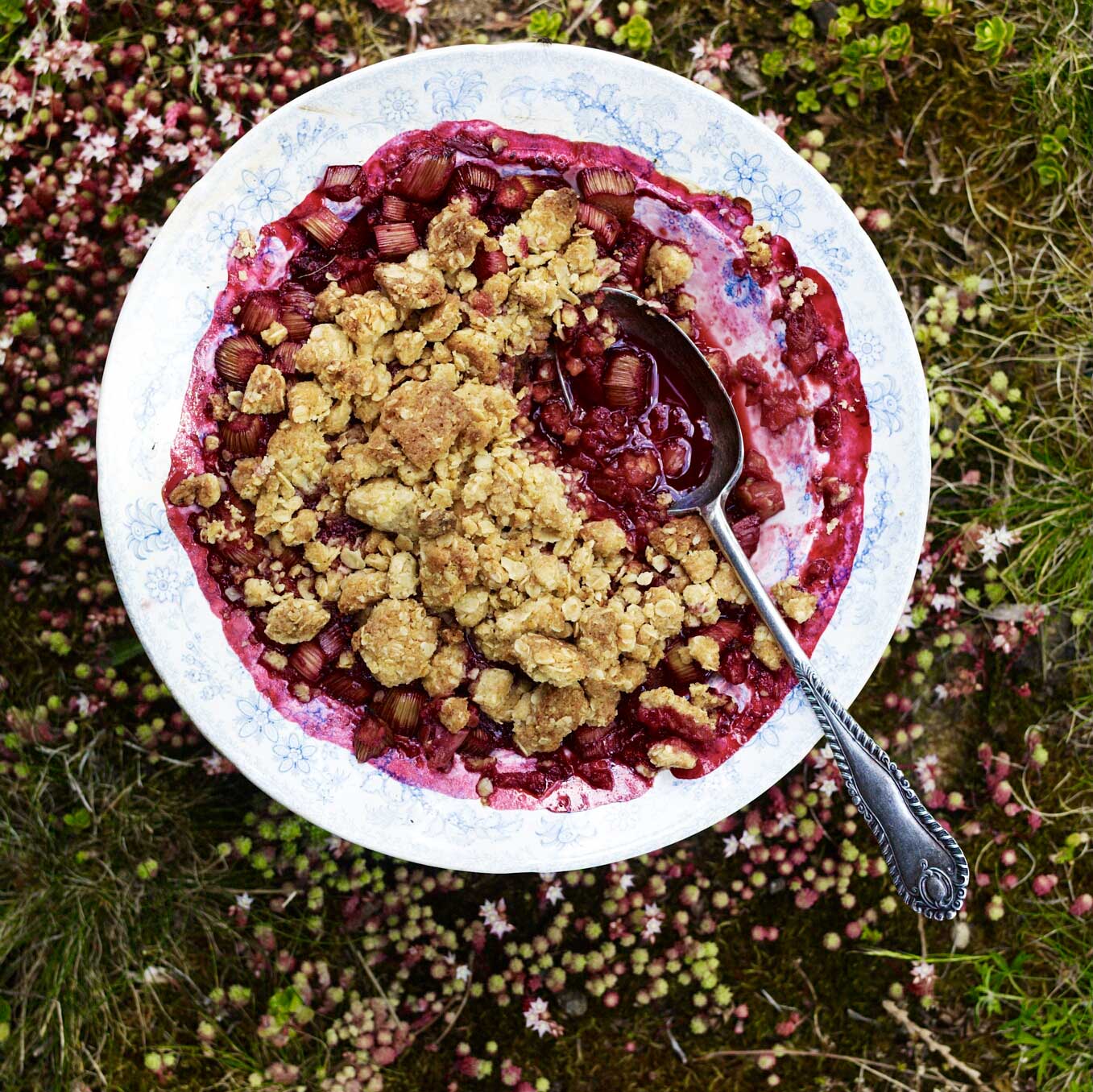 Raspberry and rhubarb crumble