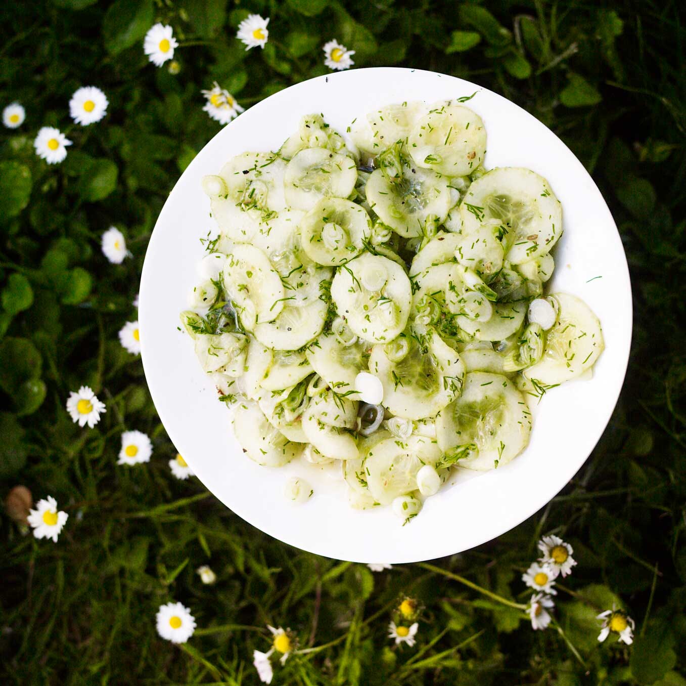 Cucumber salad with dill and apple cider vinegar