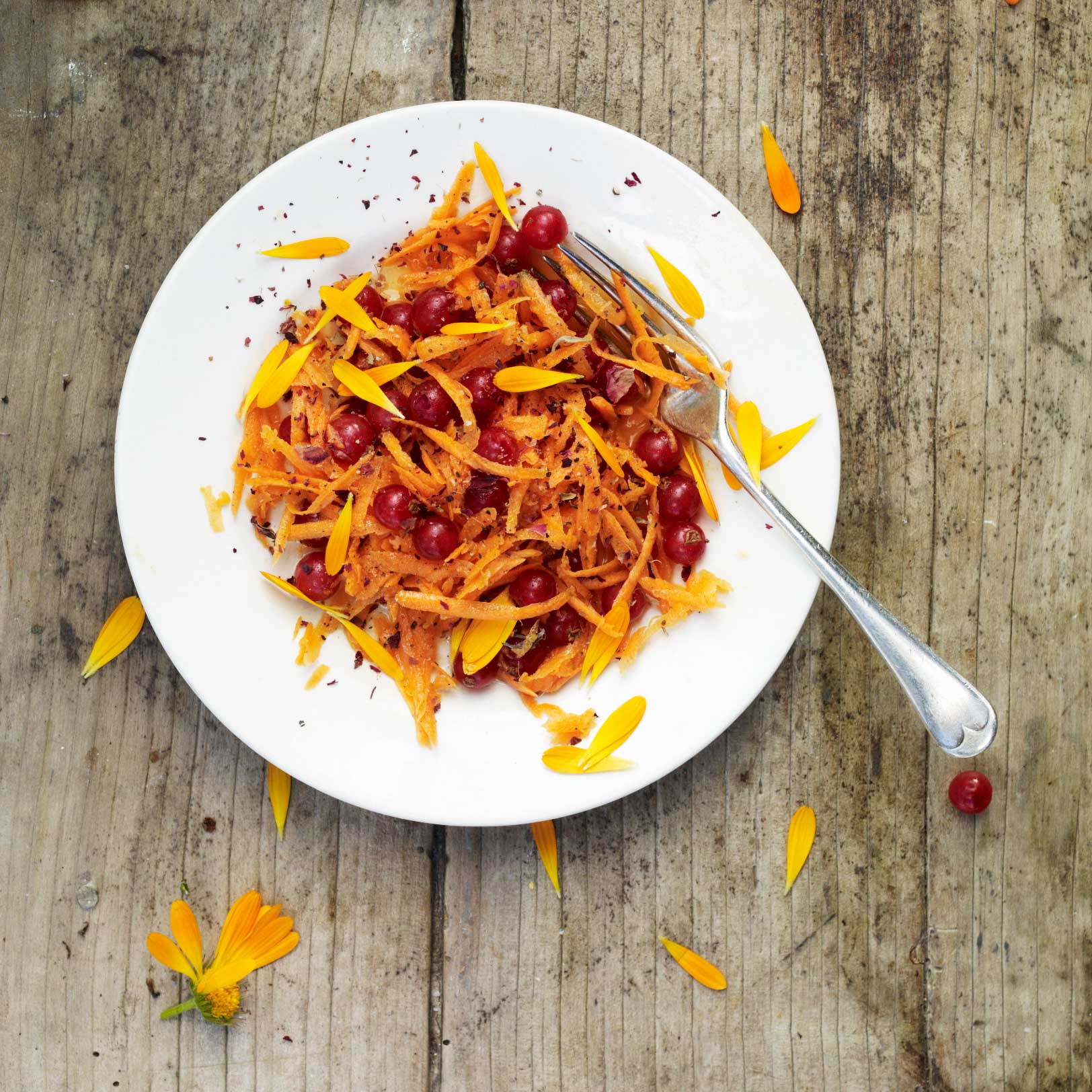 Redcurrant, carrot, orange and rose water salad