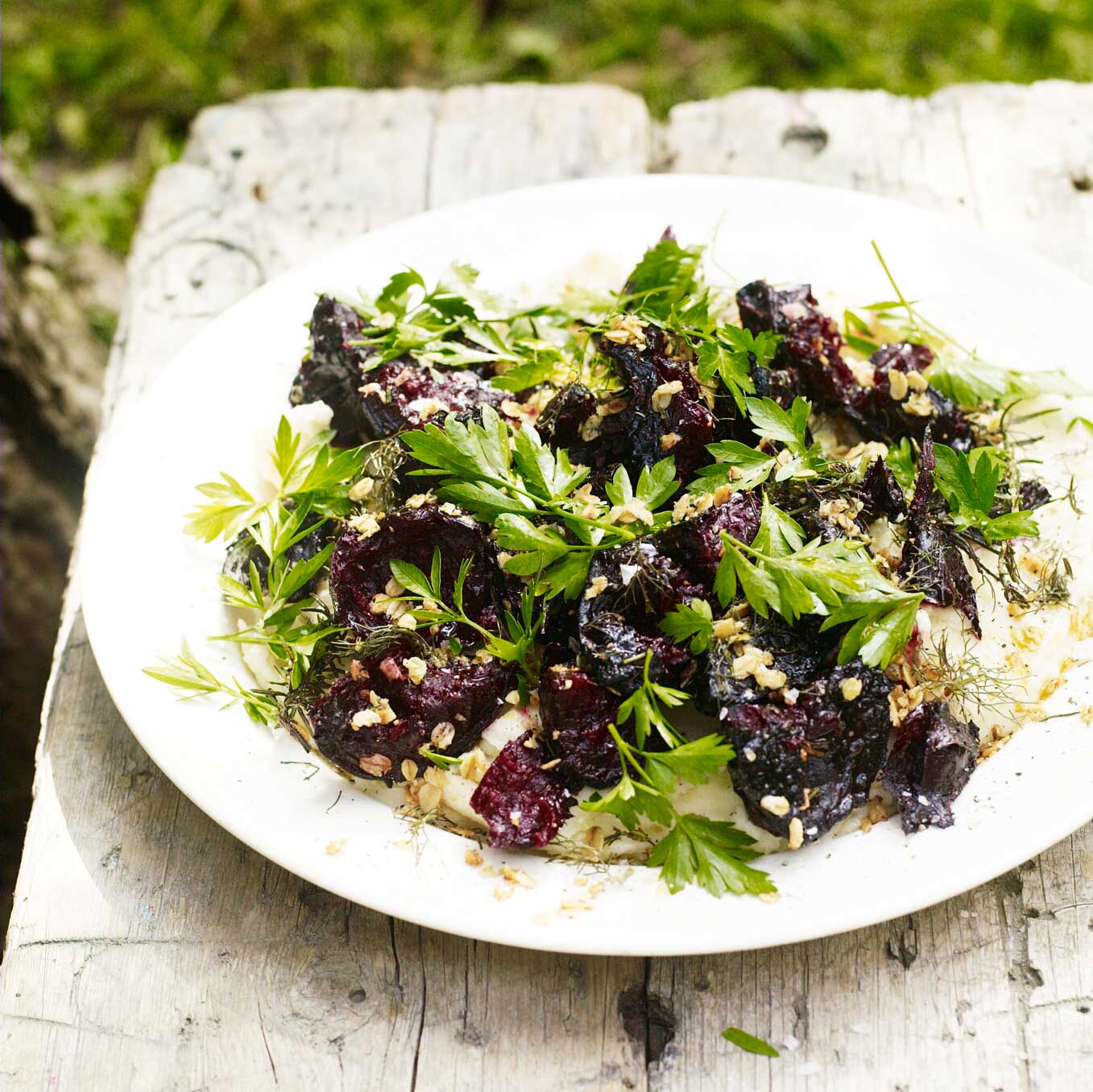 Torn beetroot with horseradish mashed potatoes, oats and parsley