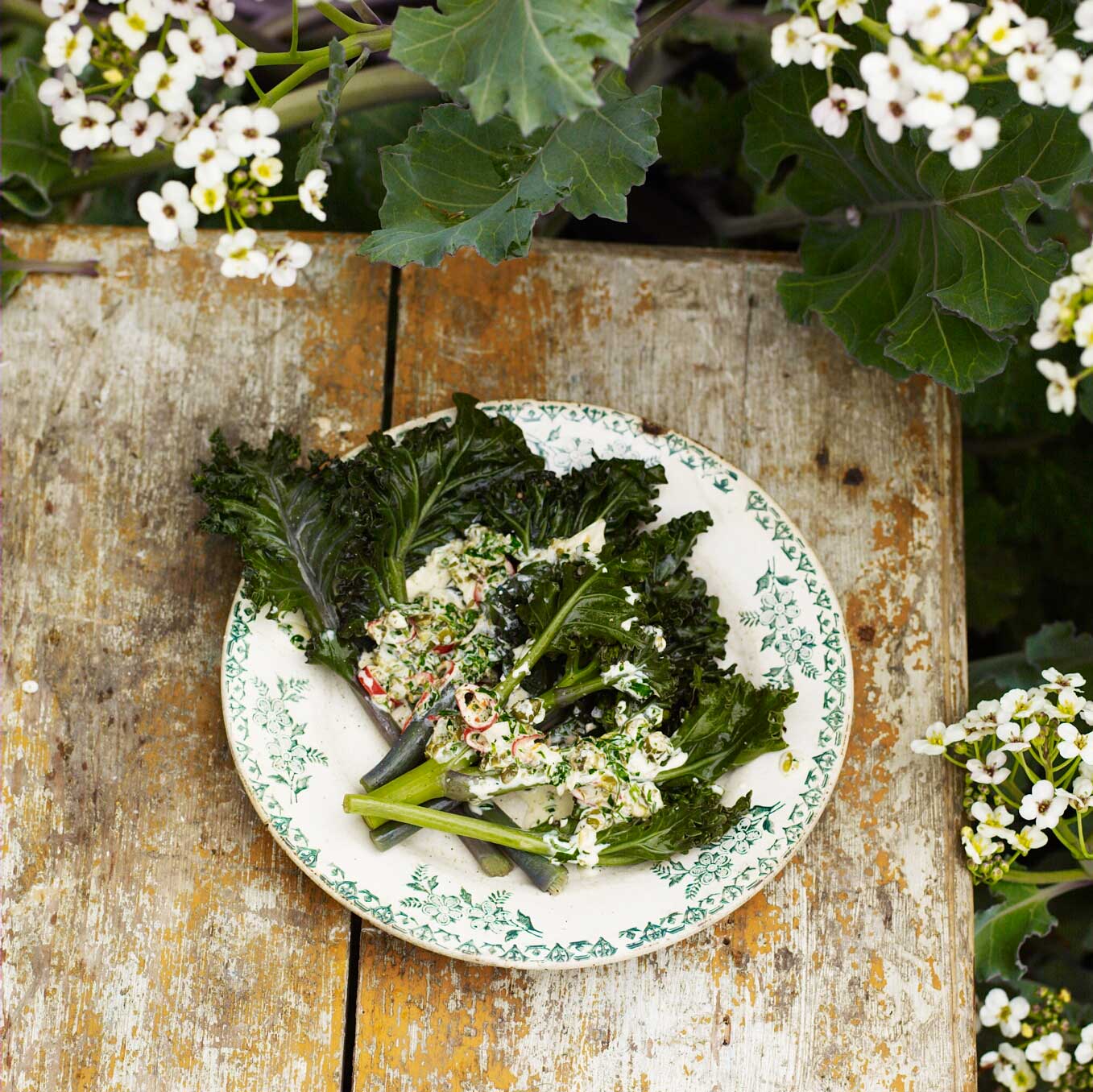 Sea kale with capers, rosemary, parsley and cream