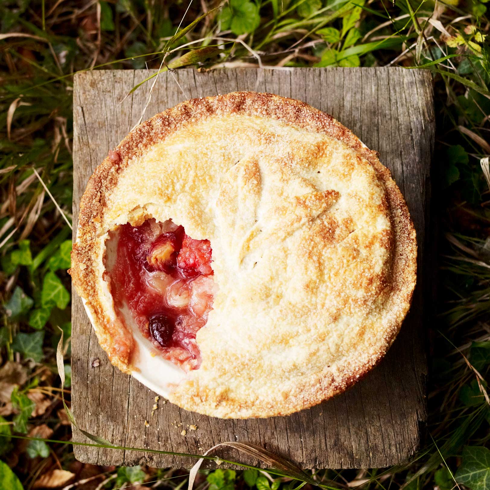 Apple and plum pie