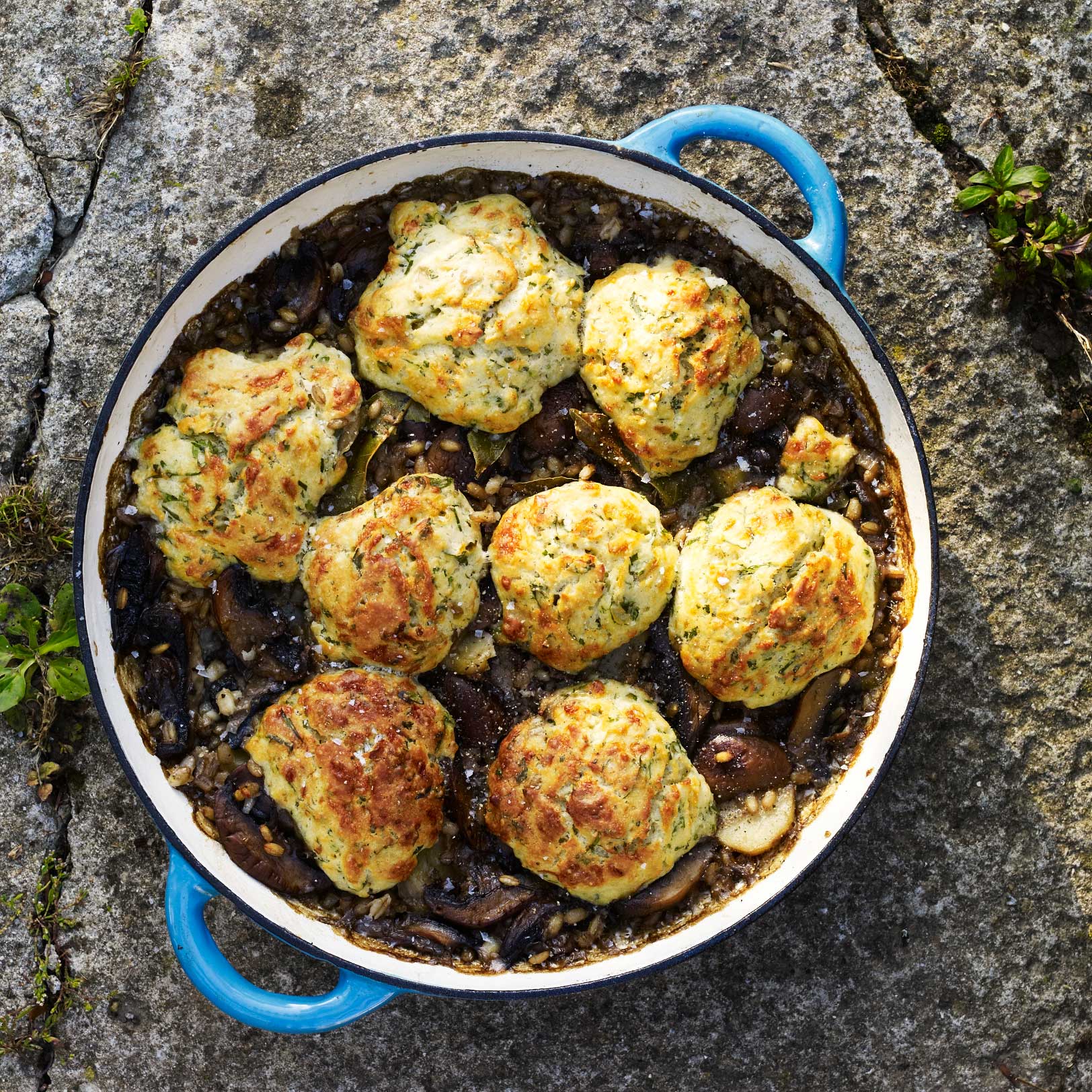 Mushroom, potato and barley cobbler