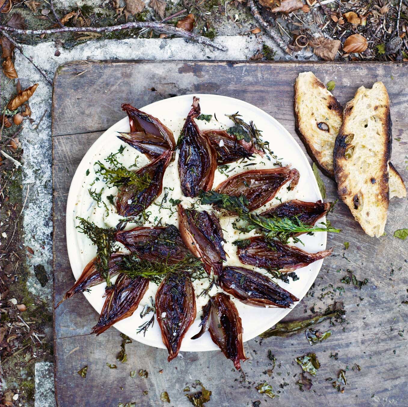 Shallots with cauliflower, garden herbs and kale
