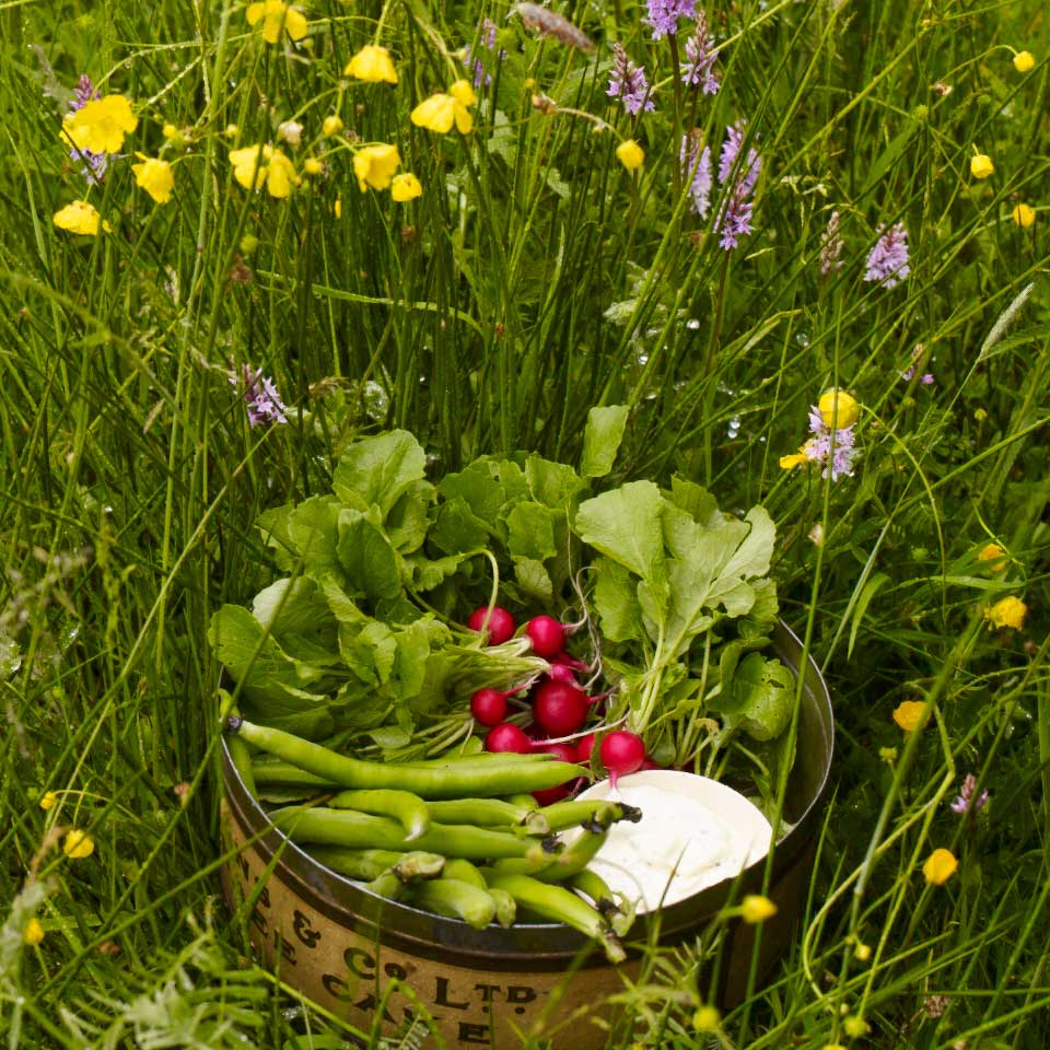 Crudités with tarragon and lemon mayonnaise