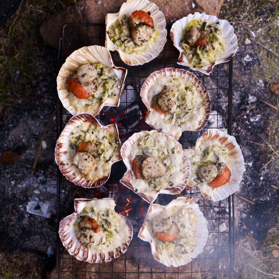 Scallops with creamed leeks