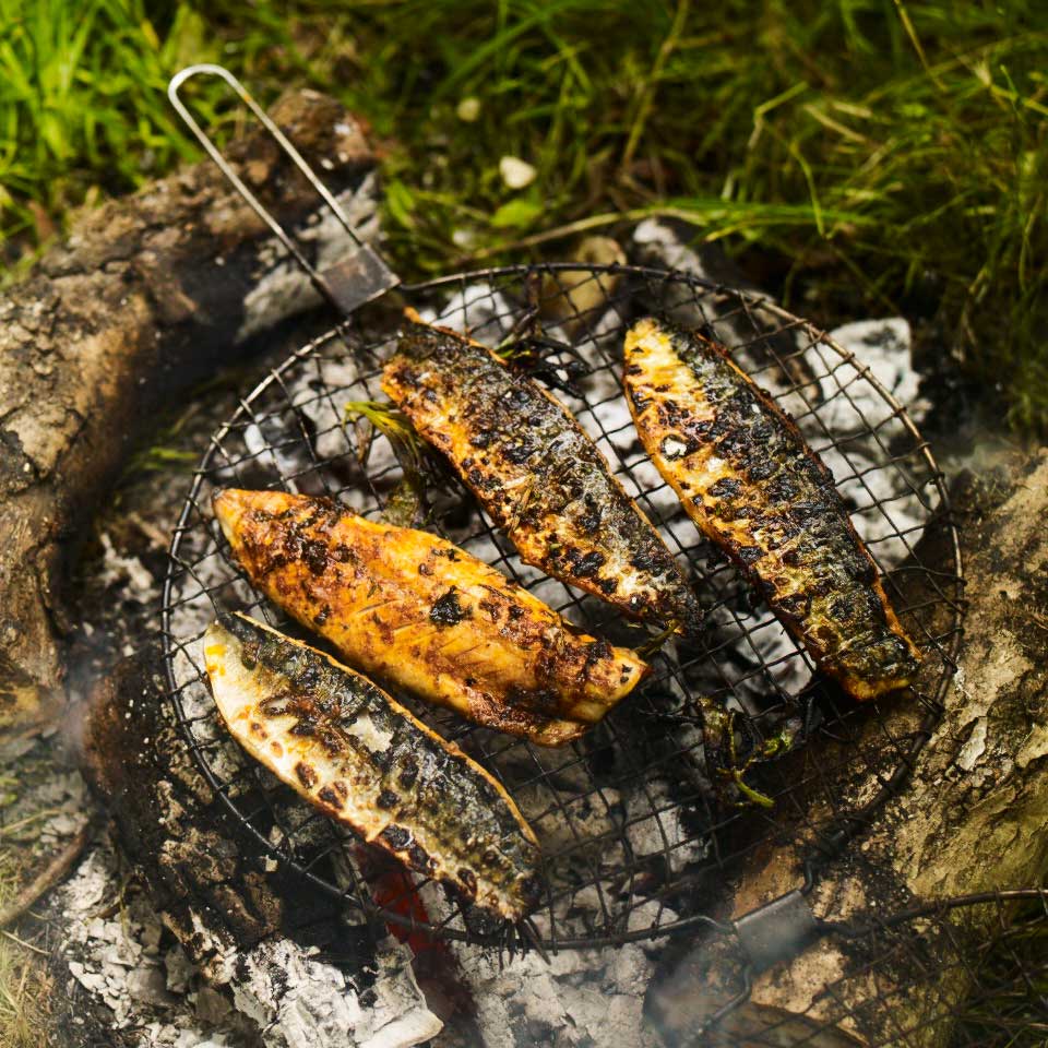 Grilled mackerel with lemon, smoked paprika, oregano and black pepper