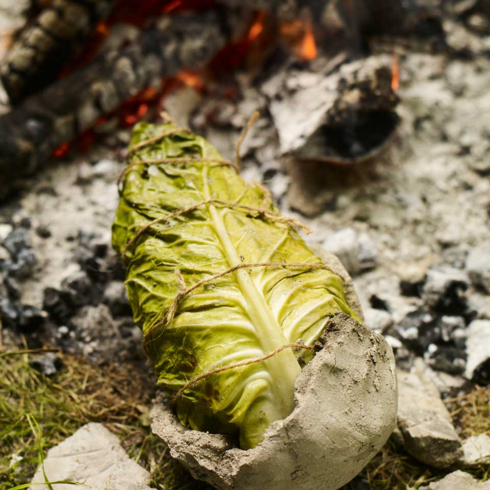 Hispi cabbage with miso, honey, tamari and sesame