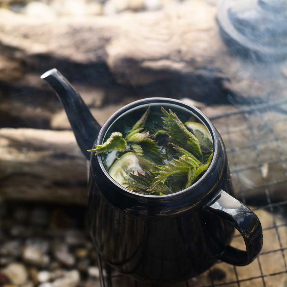 Nettle tea