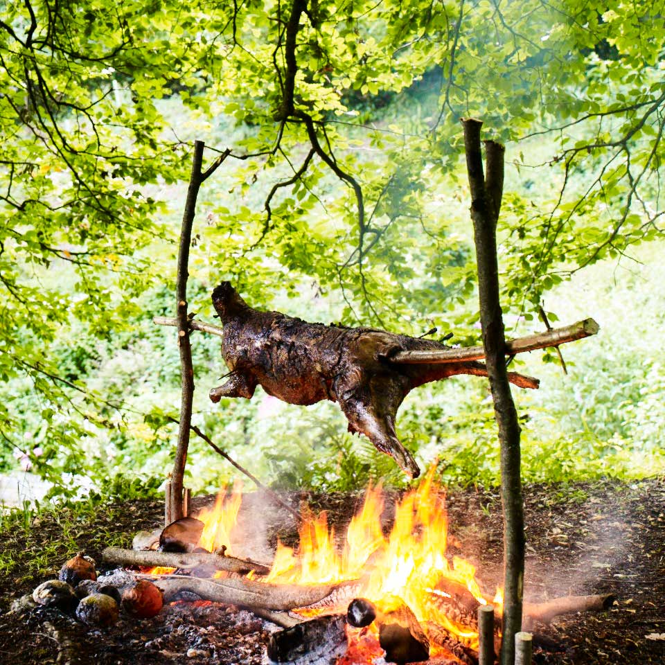 A sheep on fire