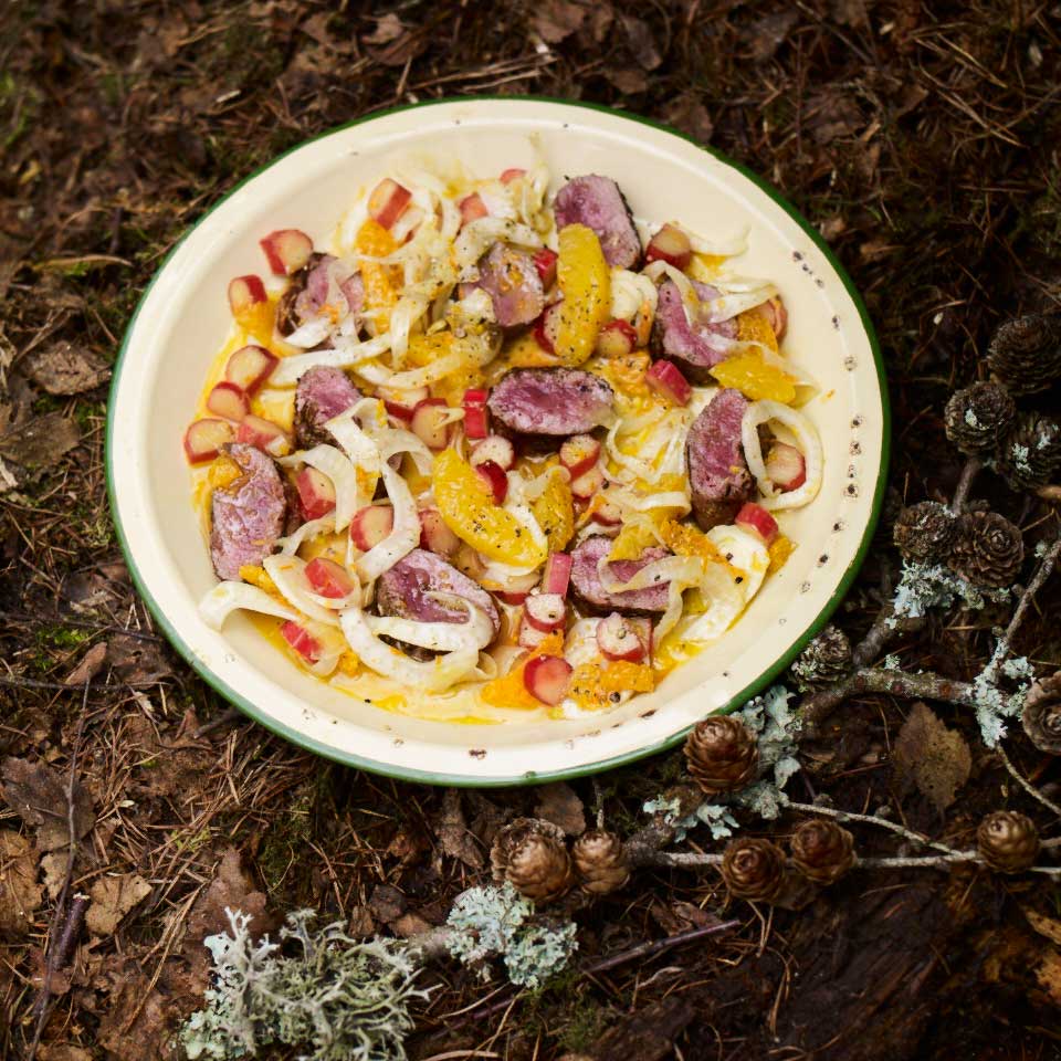 Venison with crushed coriander, rhubarb, orange and fennel