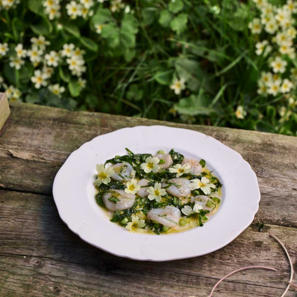 Scallops with sorrel, lemon and primroses