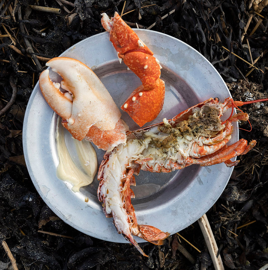 Pit-baked lobsters in seaweed with aïoli