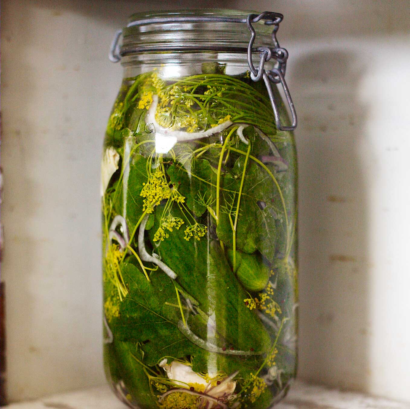 Pickled cucumbers with dill & oak
