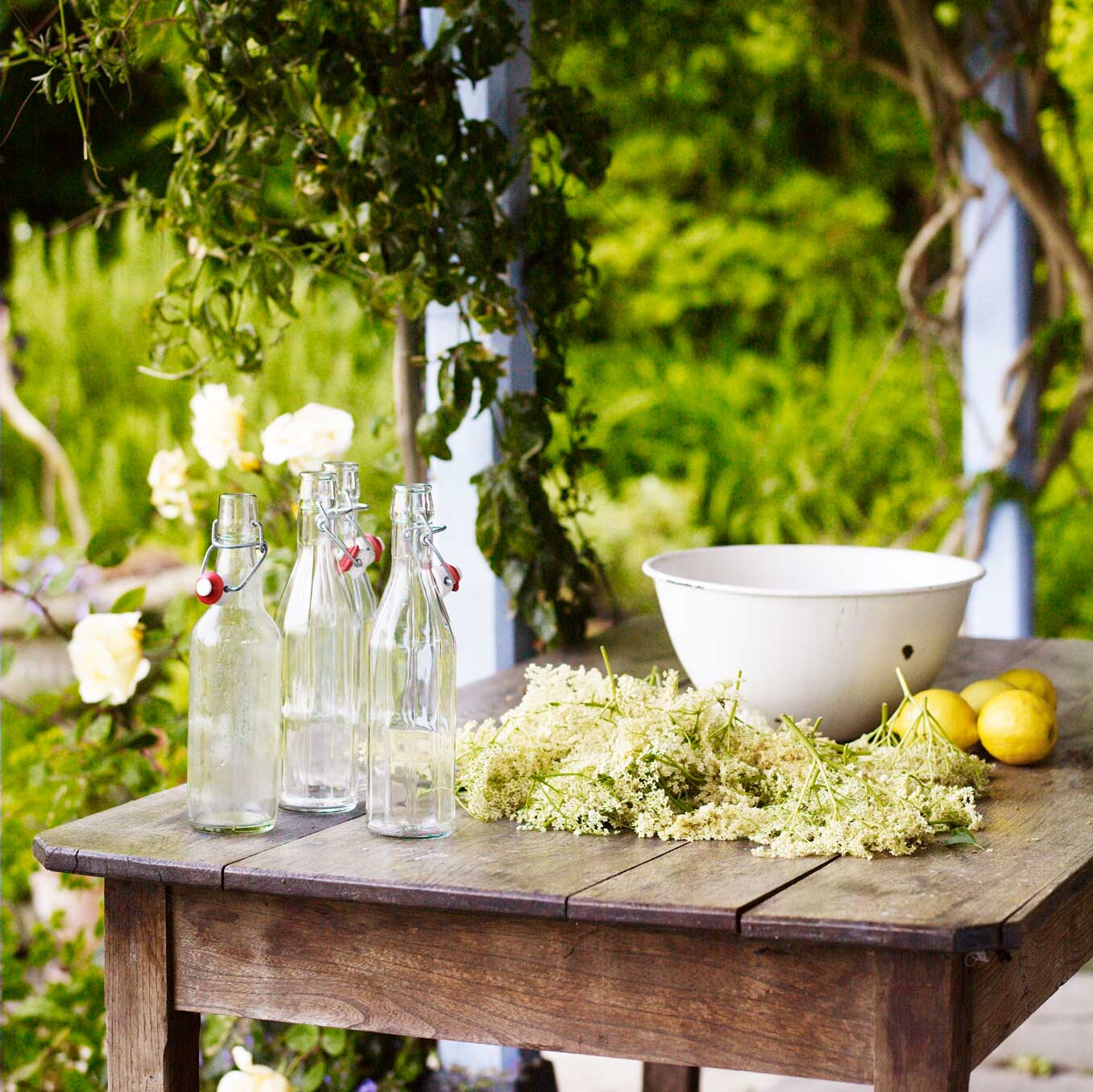 Elderflower cordial