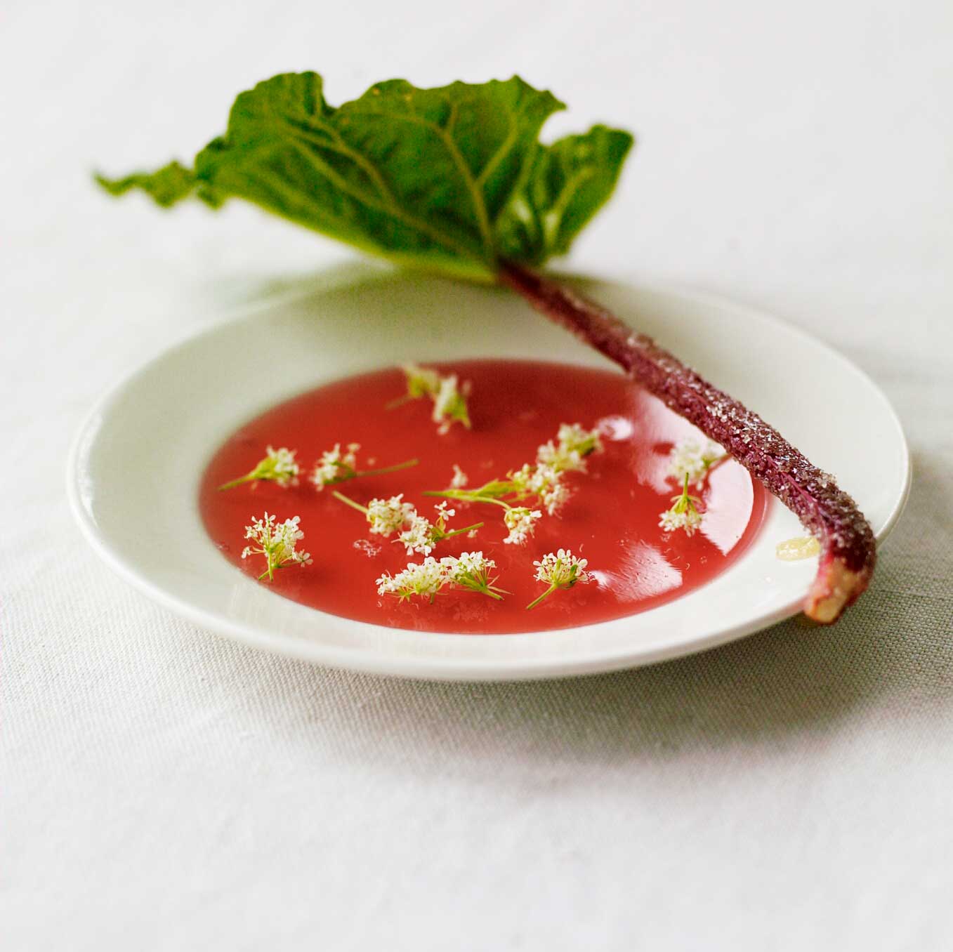 Rhubarb & cicely jelly