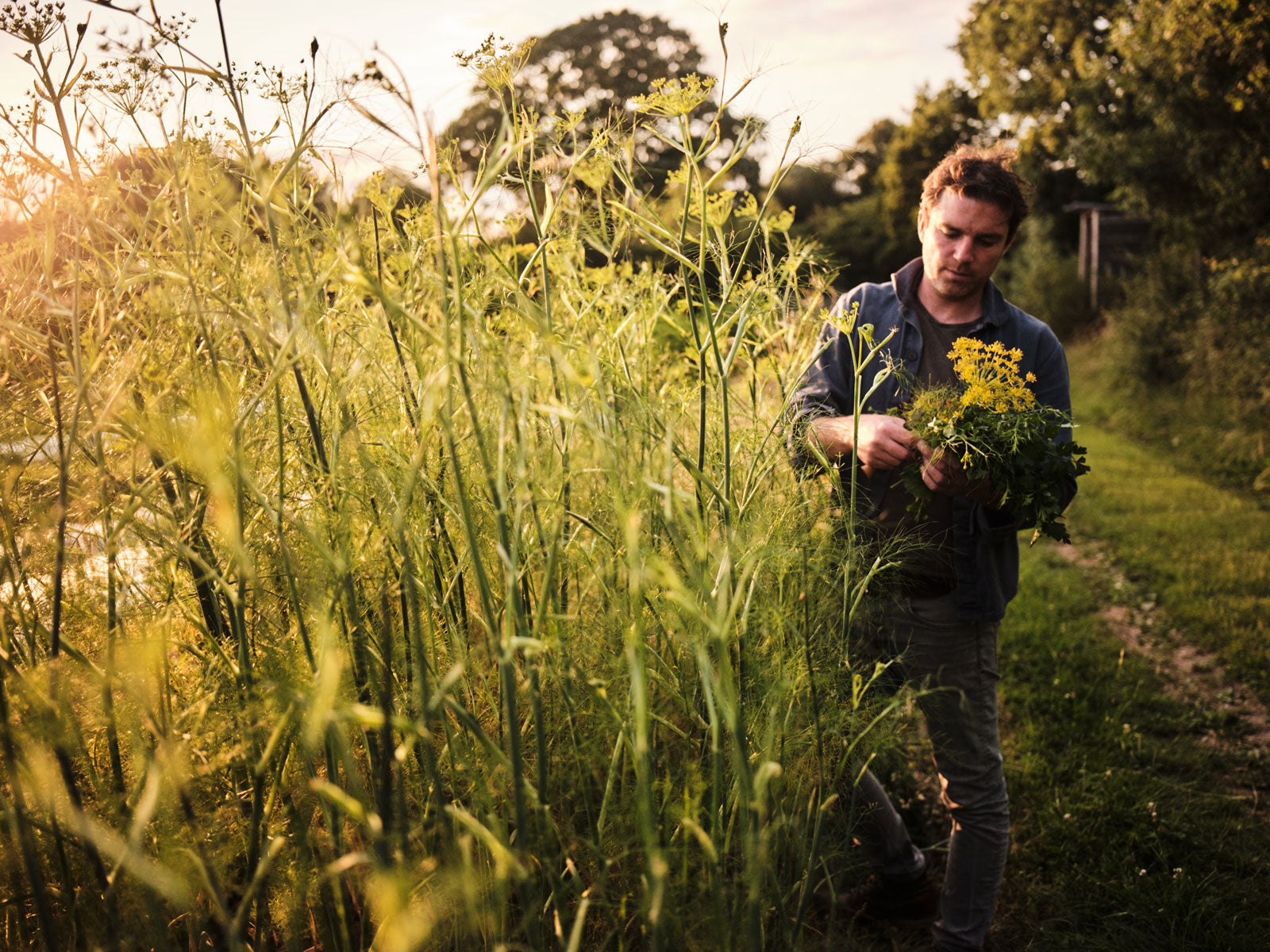 Chef, GIll Meller, olding a bundle of herbs in a field with tall grass and trees in the background